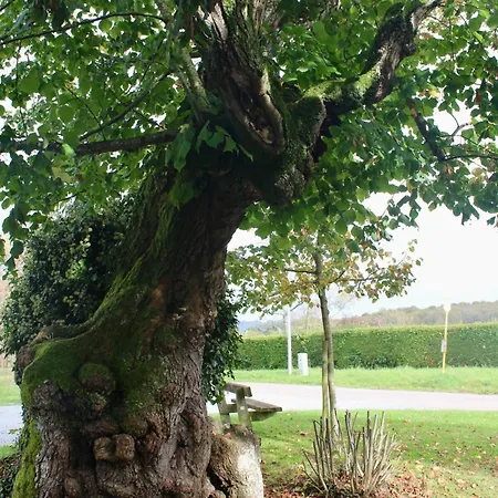 La Source De Manon - A Houyet, En Ardennes Vakantiehuis