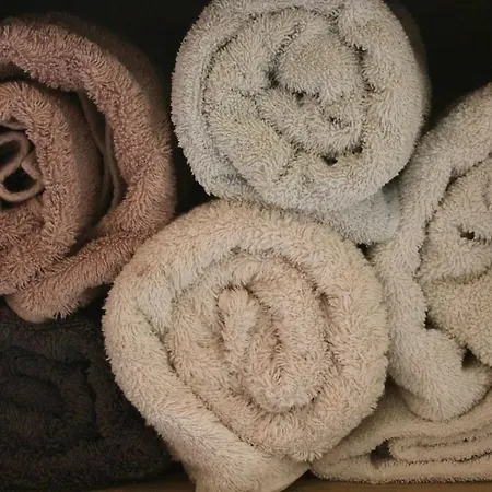 La Source De Manon - A Houyet, En Ardennes * Houyet