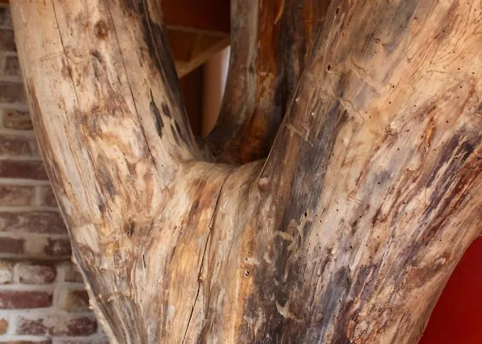 La Source De Manon - à Houyet, En Ardennes *