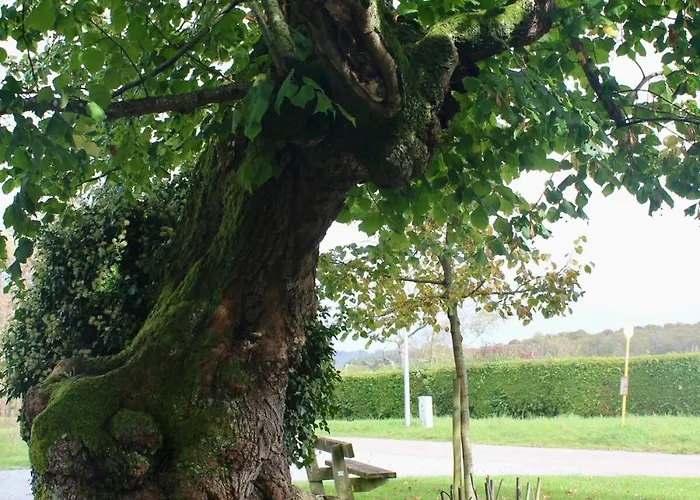 La Source De Manon - à Houyet, En Ardennes Hébergement de vacances